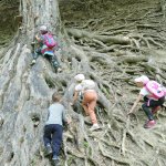 phoca_thumb_m_veverky hrad 8 Fotogalerie